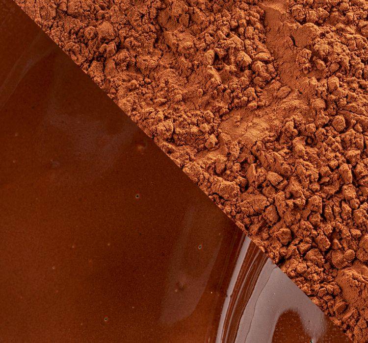 Callebaut Zestina Plein Ar&ocirc;me Kakaopulver, , small